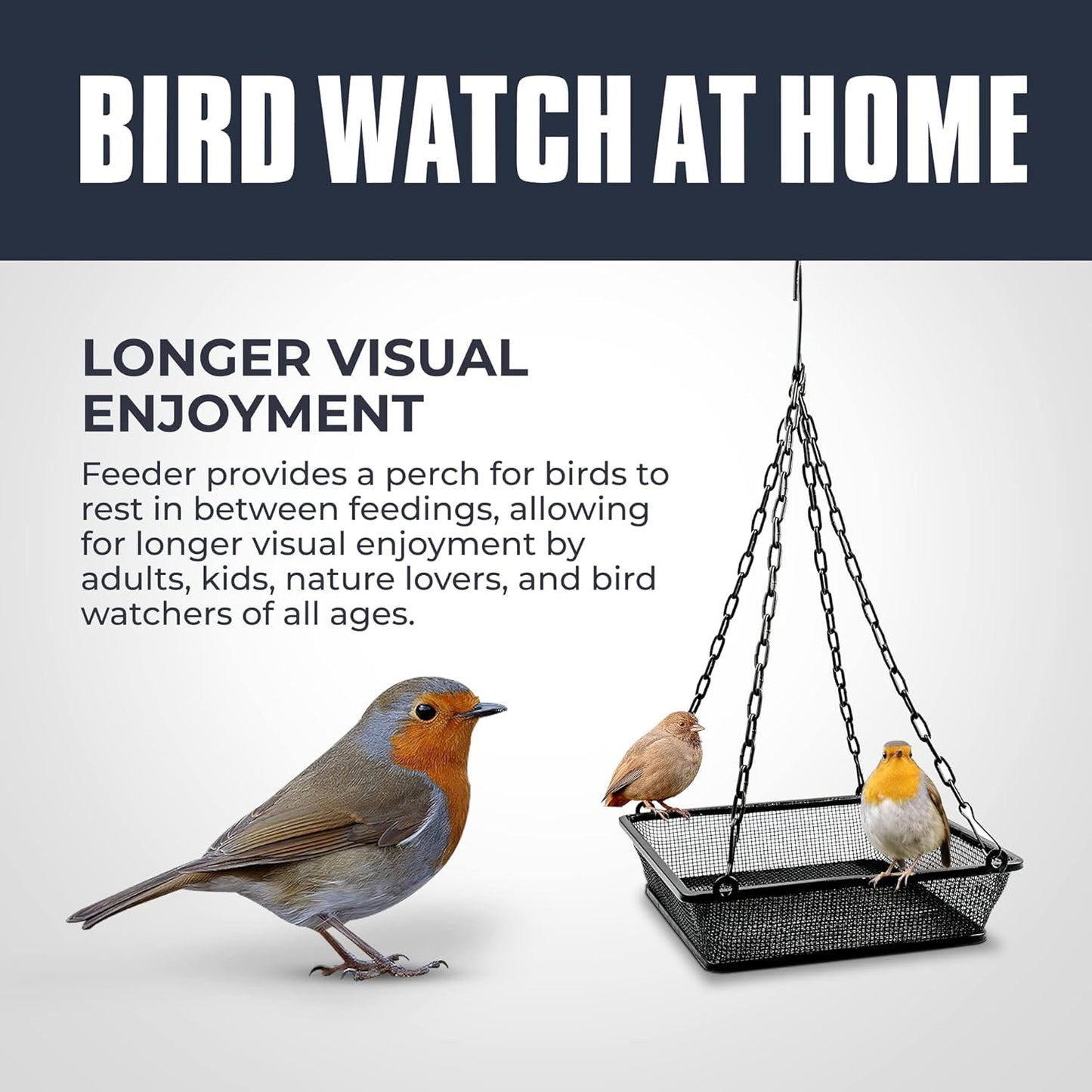Monarch Abode Hanging Bird Feeder for Outdoors – Hanging Birdfeeder with Iron Mesh Seed Tray for Wild Birds, Matte Black Metal Decorative Wild Bird Feeder for Outside Garden Patio Deck Yard