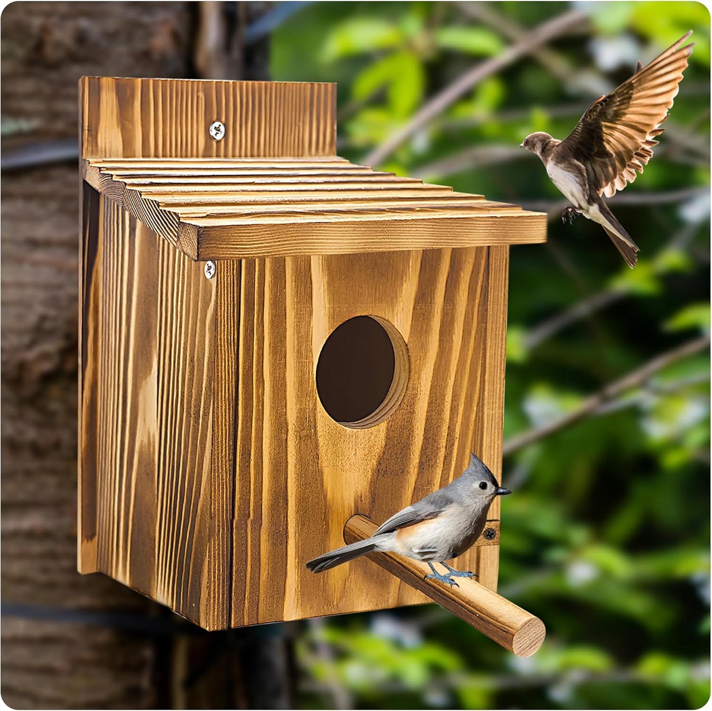 1 Pack Bird Houses for Outside,Wooden Wren Birdhouse with Detachable Perch,Finch Bluebird Houses Hanging Birdhouse for Outdoors