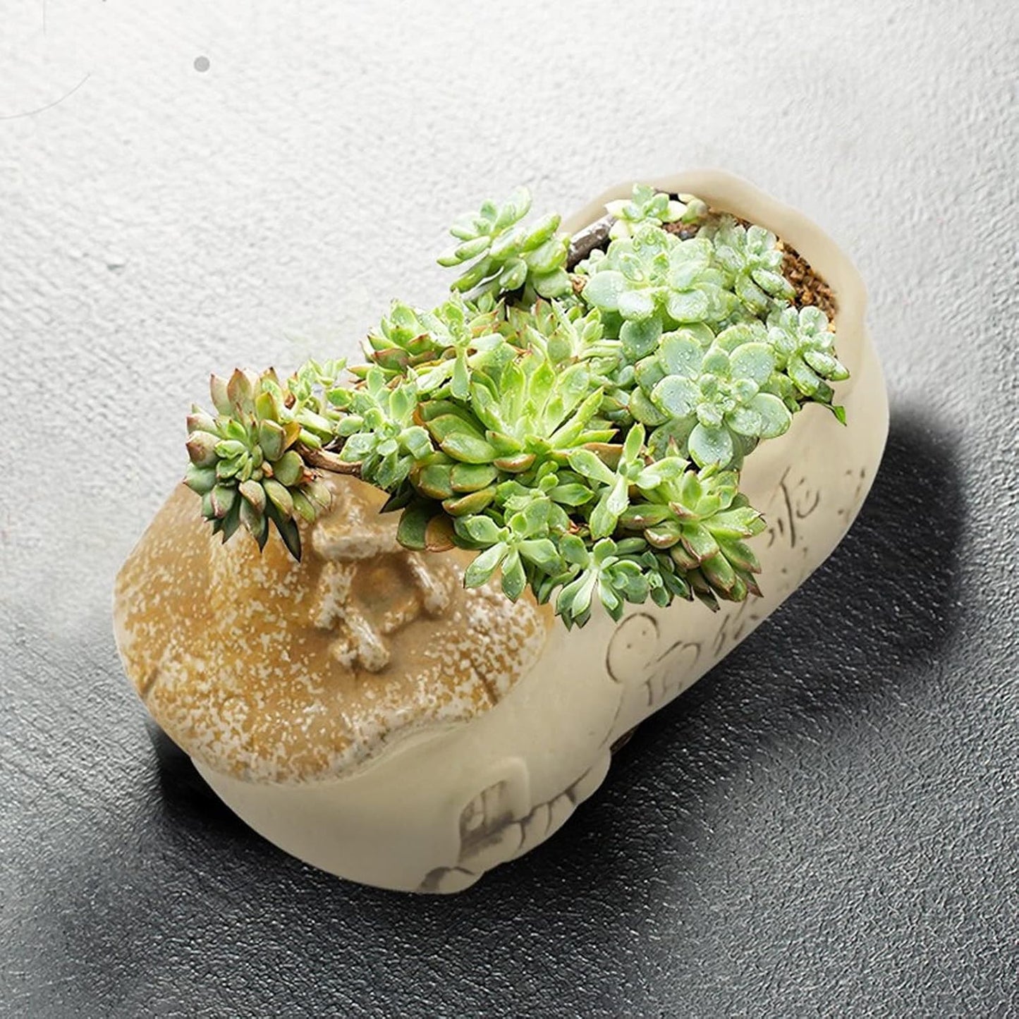 Flower Plant Pot Set of 3 Flower Pot Creative Ceramic Garden Succulent