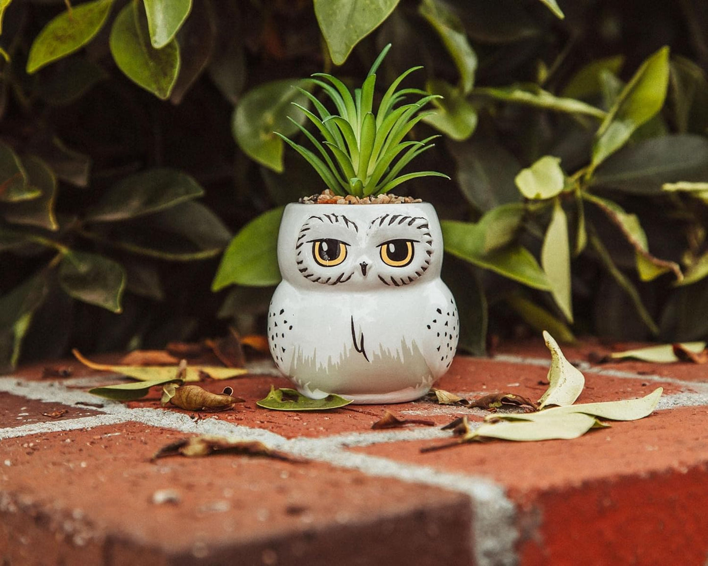 Harry Potter Hedwig 3-Inch Ceramic Mini Planter with Artificial Succulent | Small Flower Pot, Faux Indoor Plants for Desk Shelf, Home Decor Trinket Tray | Wizarding World Gifts and Collectibles