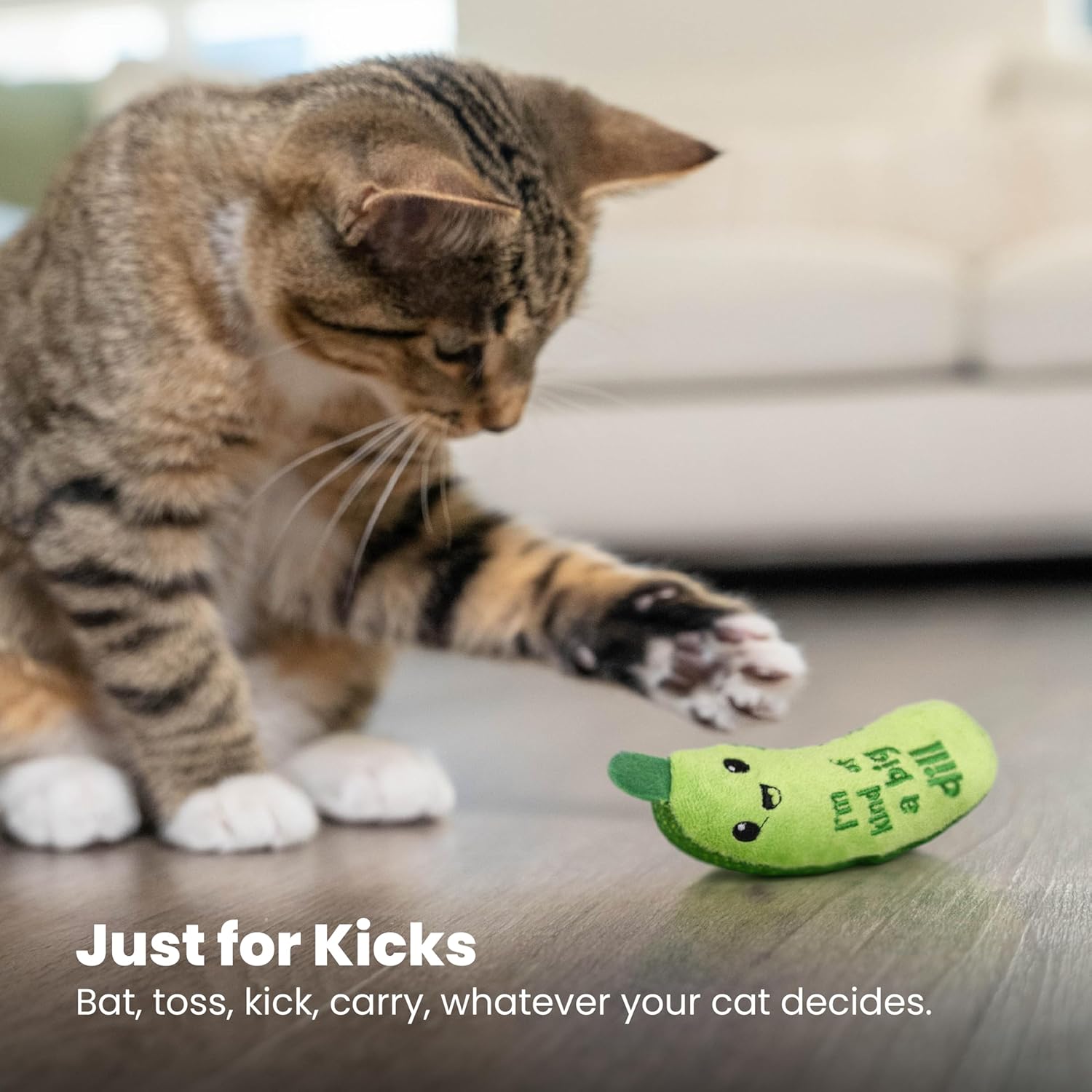 Catstages Crunchy Pickle Kicker Cat Toy – Plush Crinkle Toy with Catni
