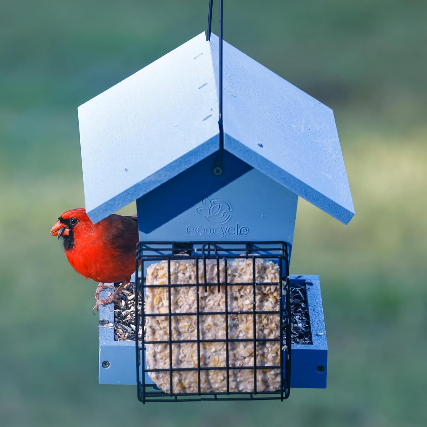 Hopper Hangout Recycled Plastic Hopper Bird Feeder with Latching Suet Cages & Fresh Seed Tray for Wild Birds and Outdoor Décor, 3 Quart Capacity, 2 Suet Cake, Blue