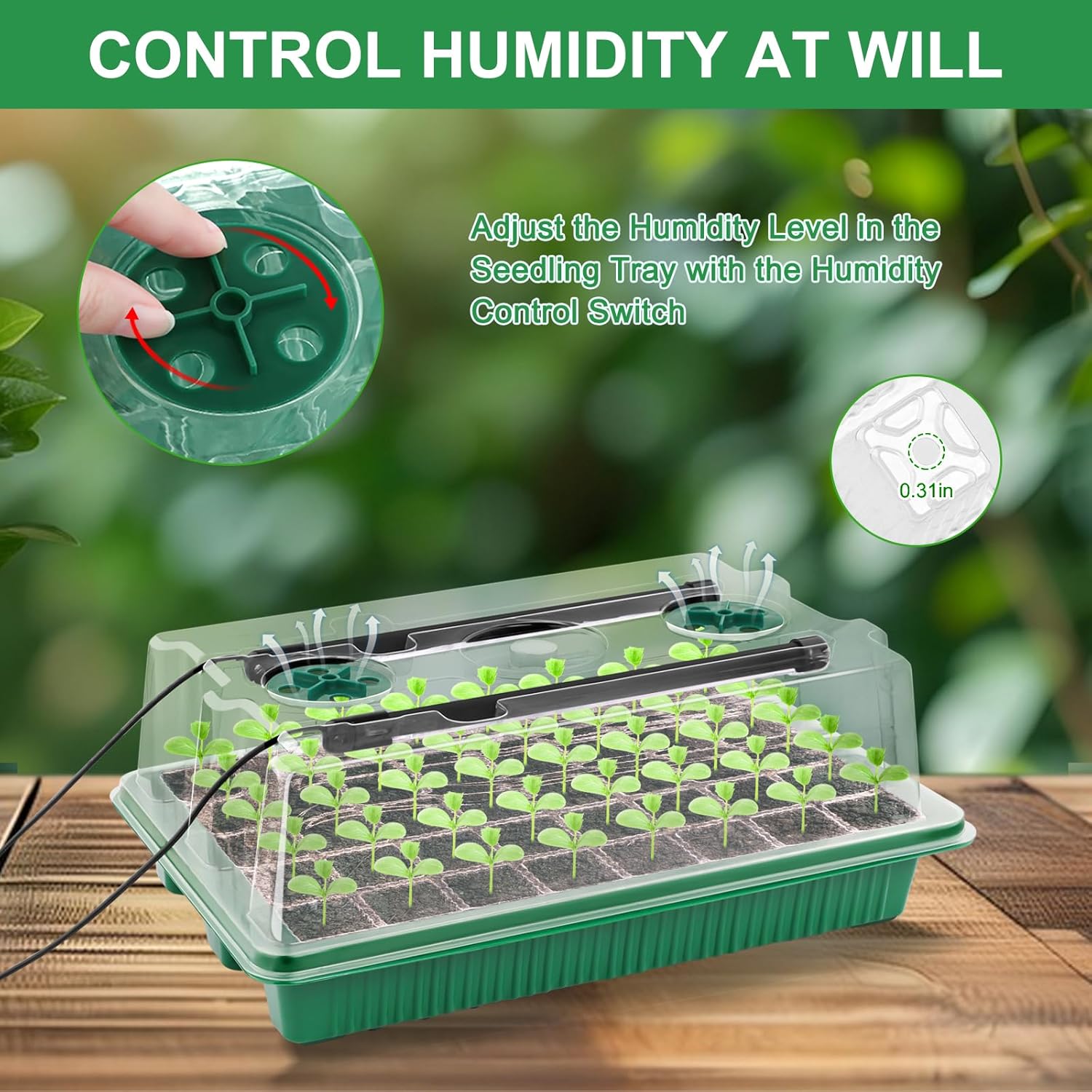 Seed Starter Tray with Timed Grow Light, 2 Pack 80 Cells Plant Starter