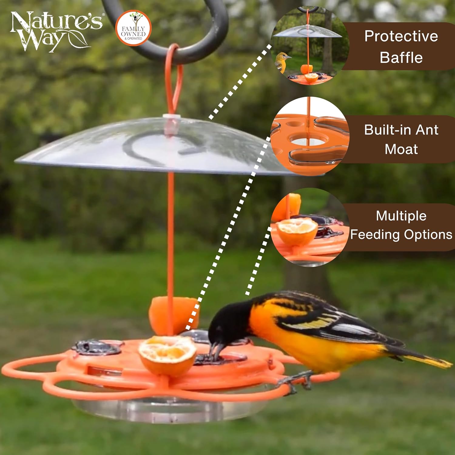 Nature’s Way Multi-Station Oriole Feeding Center with Ant Moat & Weath