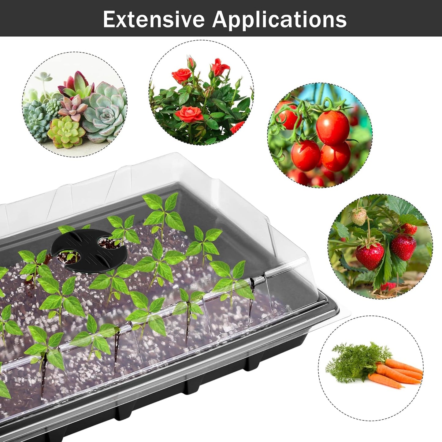 6 Pack Seed Starter Tray Kit with 120 Square Peat Pots for Seedlings, 