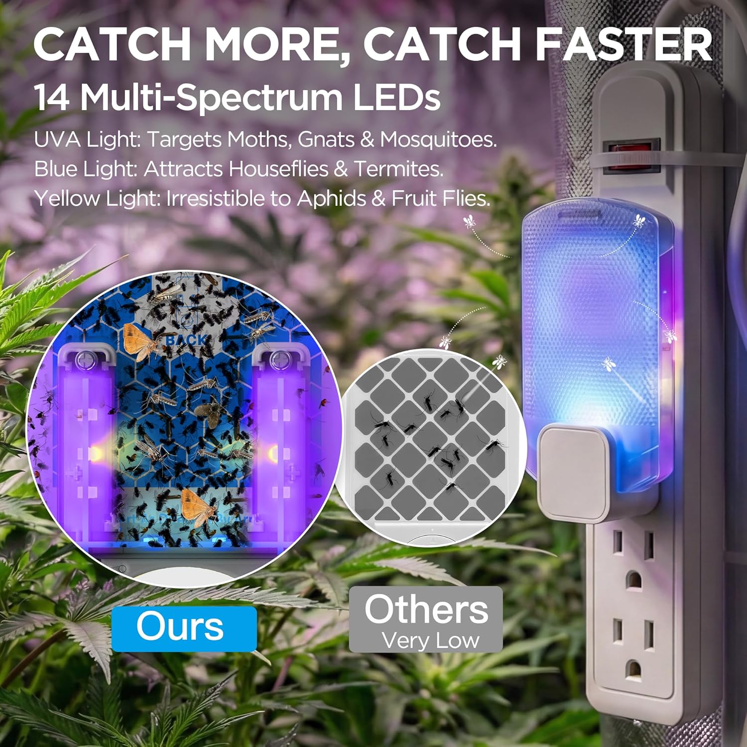 2 Flying Insect Traps+10 Refill Cartridges, 2026 2nd Gen, Fruit Fly Tr