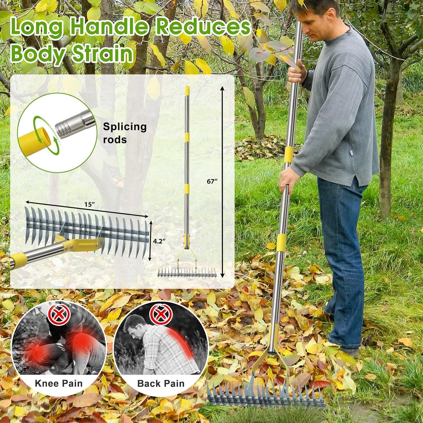 2-in-1 Thatch Rake for Lawn 55" Long Stainless Steel Thatching Rake wi