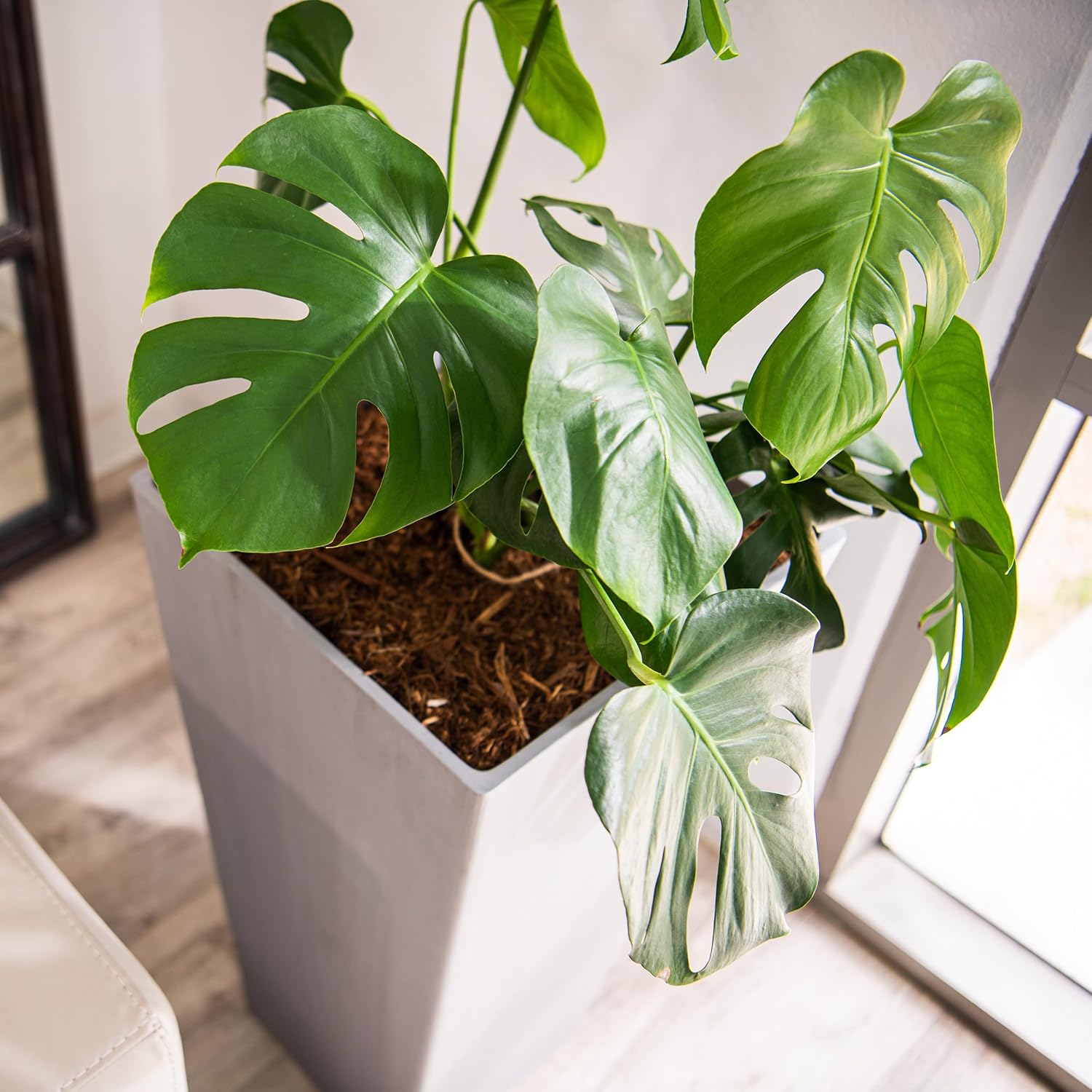 XBrand Modern 28-Inch Square Planter, Modern Tapered Perfect for Indoo