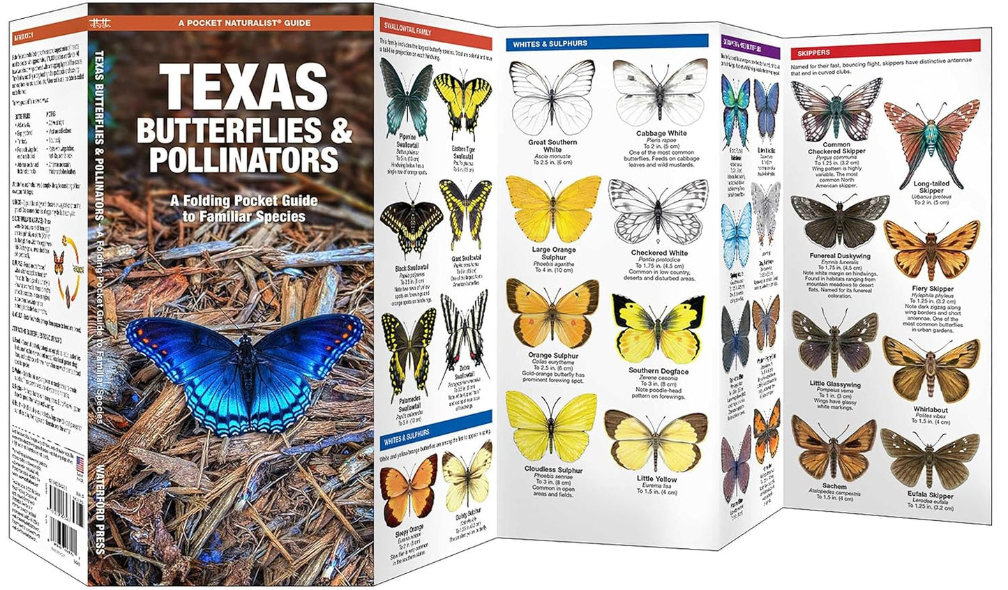 Texas Butterflies & Pollinators (Nature Observation North America)