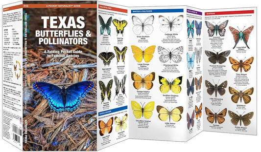 Texas Butterflies & Pollinators (Nature Observation North America)