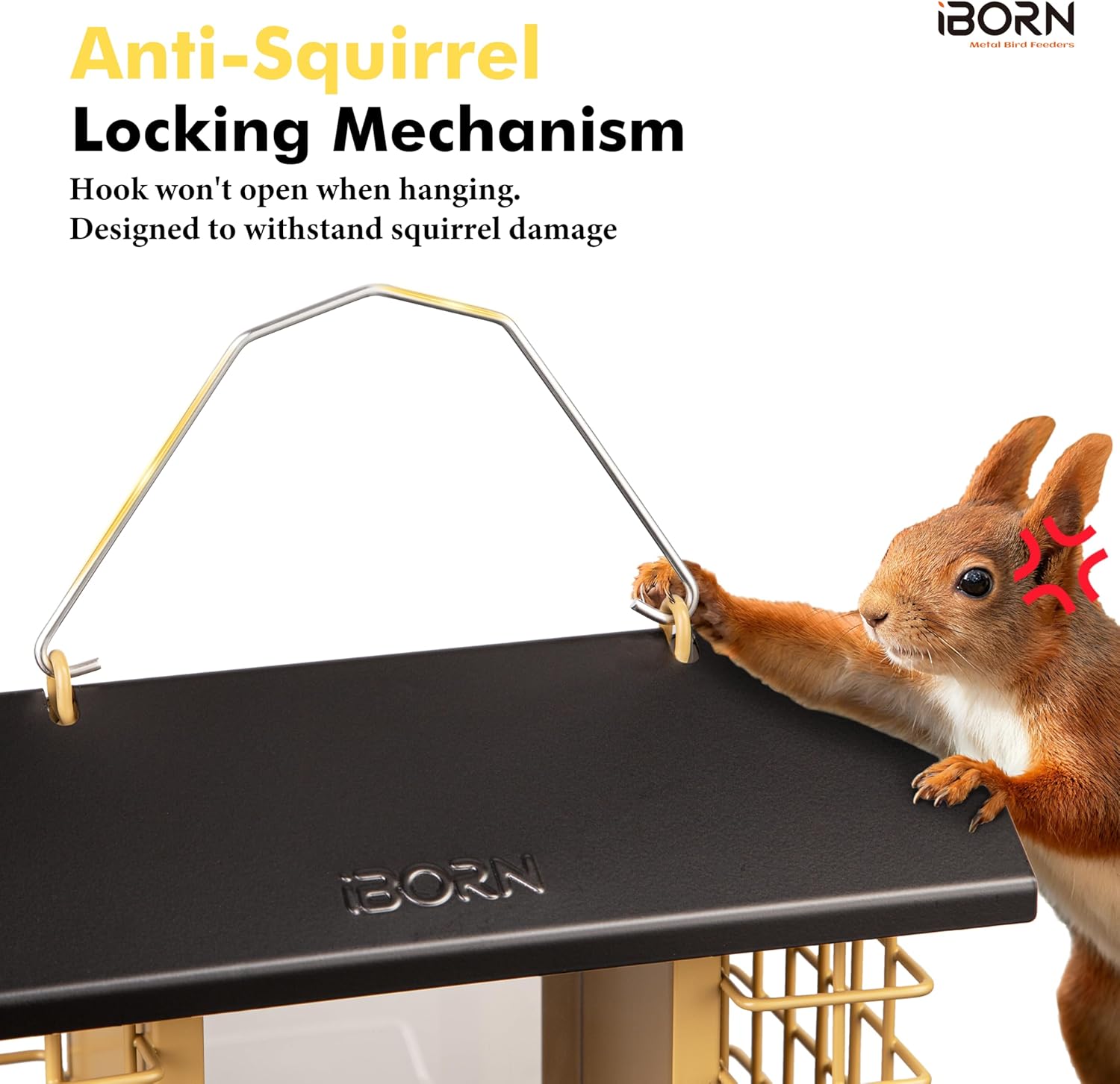 iBorn Bird Feeders for Outdoors,Bird Feeder with Double Suet Holders,S
