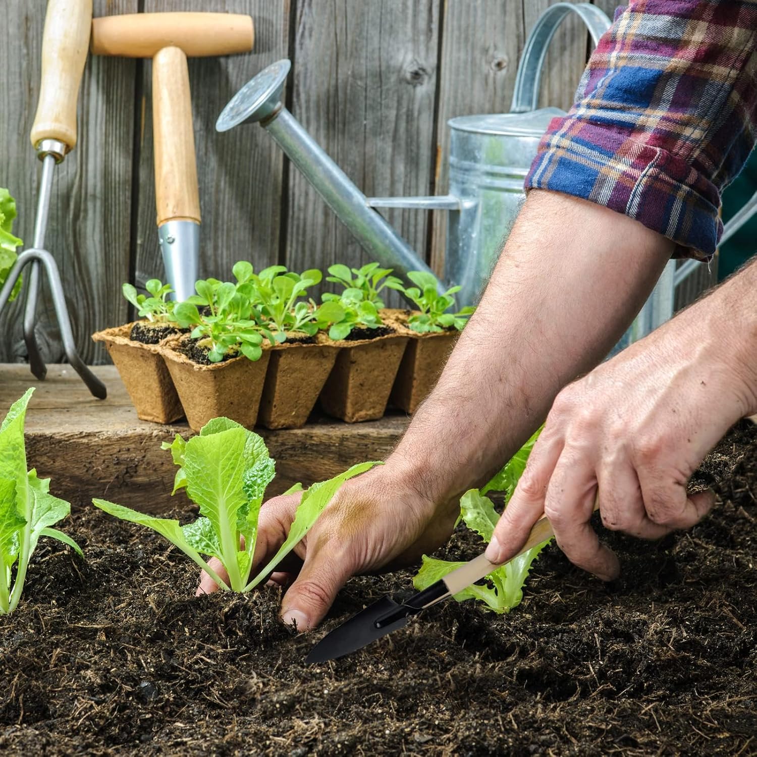 Aodaer 193 Pack Seed Starter Kit Including Seed Starter Tray Peat Pots