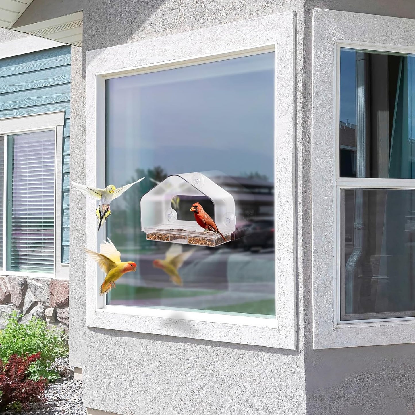 Clear Acrylic Window Bird Feeder for Outside with Suction Cups Transparent Birds Houses Tray for Viewing Wild Bird Watching Gifts for Cats, Garden Decor
