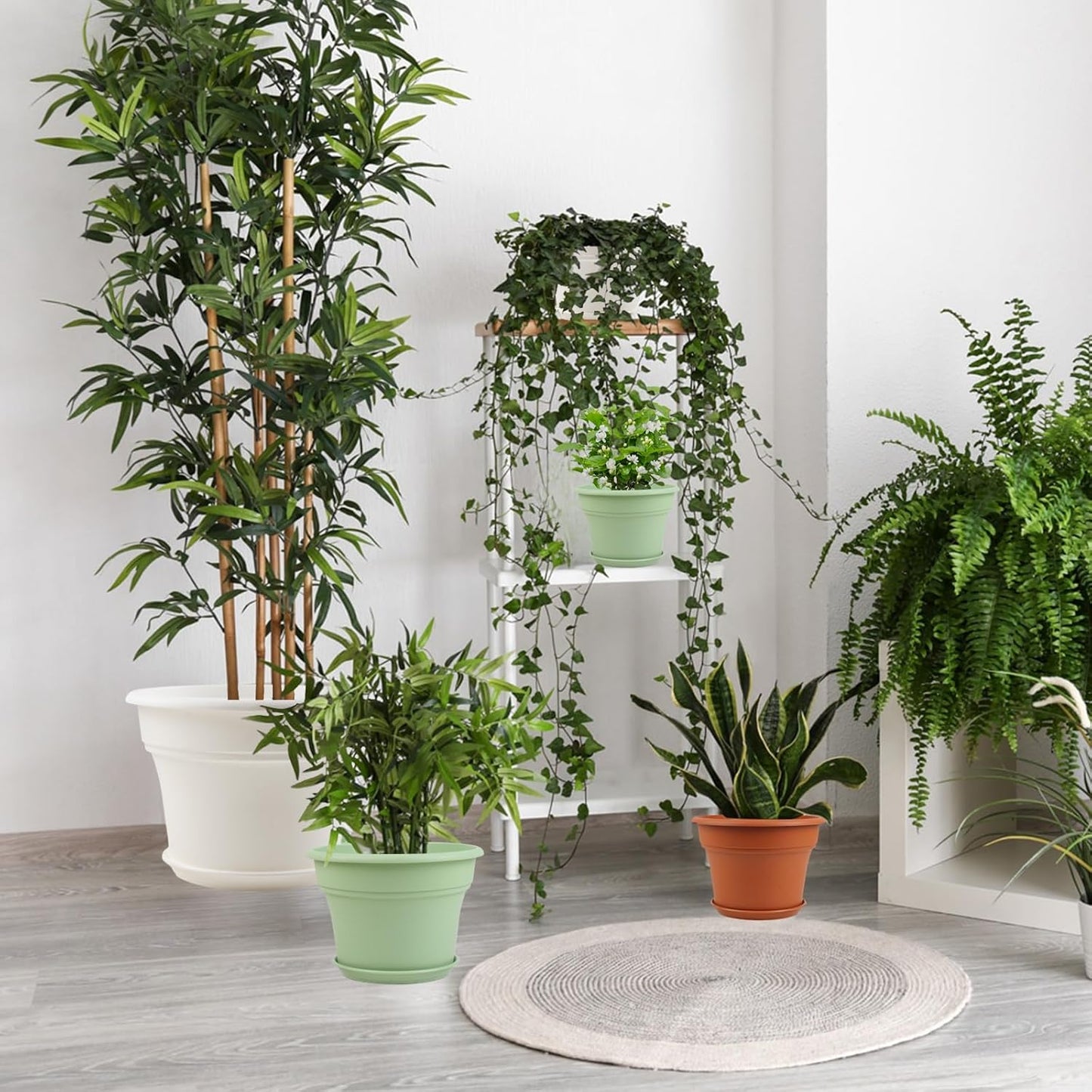 6 Inch Plastic-Flower Pot-for-Indoor Plants, 6 Pack Outdoor Plant Pots