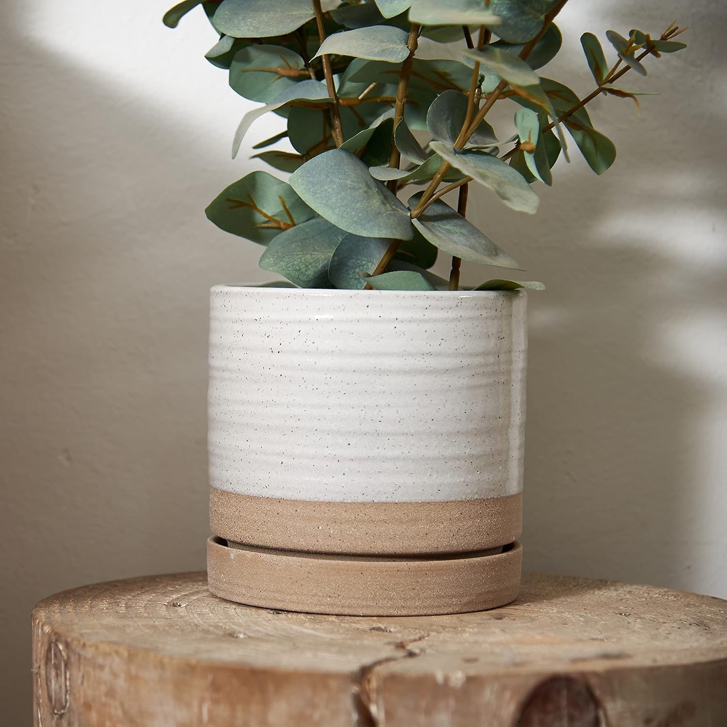 6 Inch Plant Pots, Ceramic Planter Pot with Drainage Hole & Saucer, In