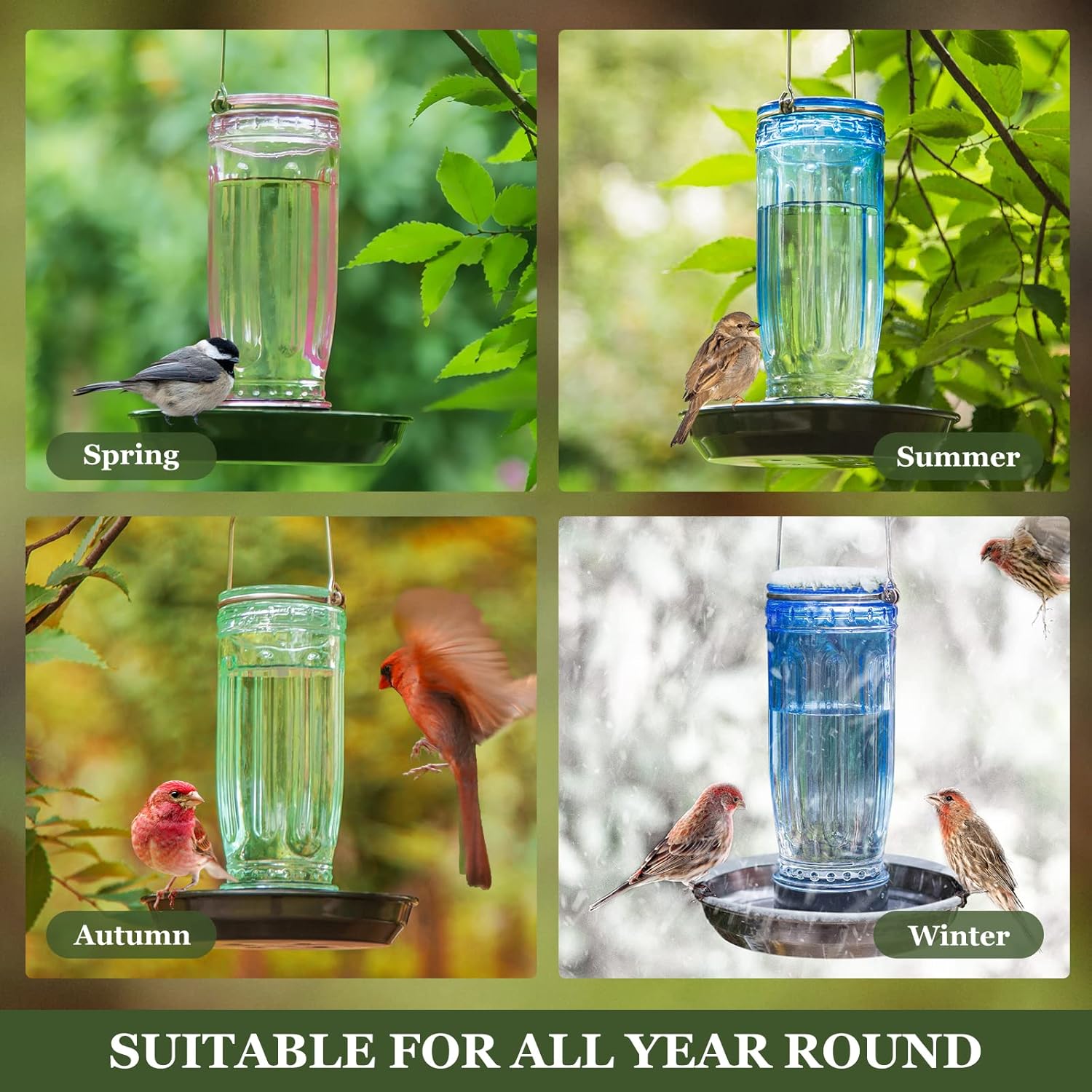 Kingsyard Glass Bird Water Dispenser for Outdoor, 16 Oz, Bird Water Fe
