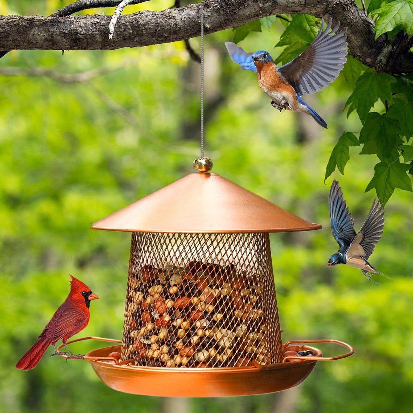 Garden Bird Feeder | Iron Art Heavy Duty | Outdoor Bird Feeder Food Station | for Finches Robins Sparrows Canary Budgies Backyard Balcony Patio Terrace