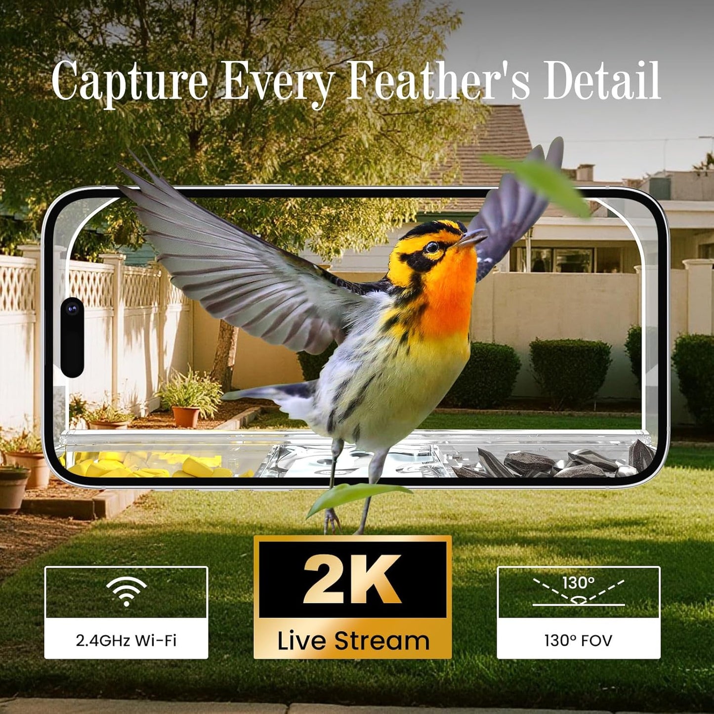 Smart Window Bird Feeder Camera with AI, Modern Design for Panoramic Views, 2K HD Live Feed, USB Powered & Secure Suction Mount - The Ultimate Tech Gift (Clear)