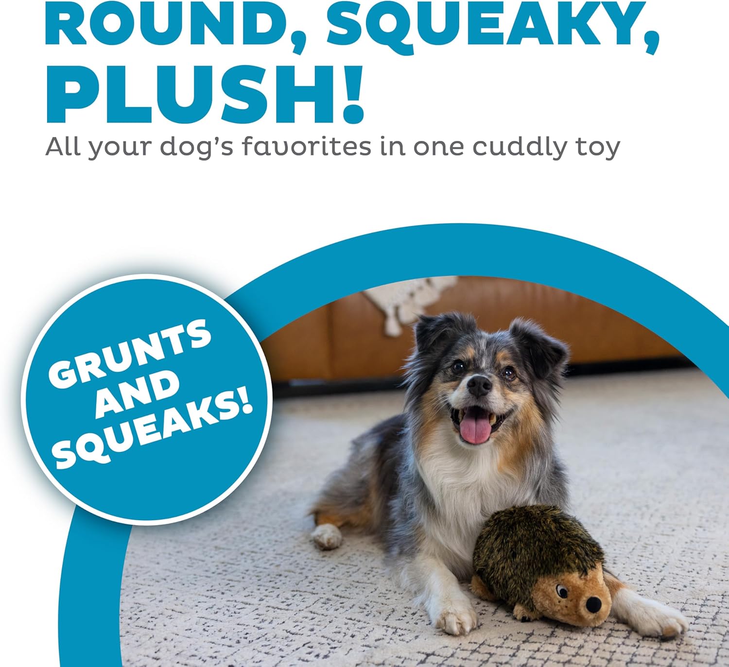 Outward Hound Hedgehogz Stuffed Dog Toy – Soft Plush Hedgehog, Grunts 