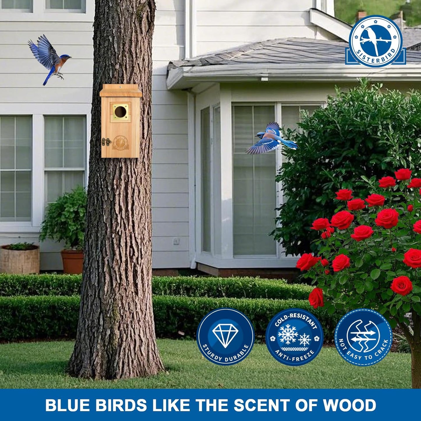 Bird Houses for Outside, Bluebird Houses for Outside, Wooden Birdhouses for Outdoors, Garden Decoration Bird House, Nesting Birdhouse, Bluebird Finch Swallow Wren Chickadee