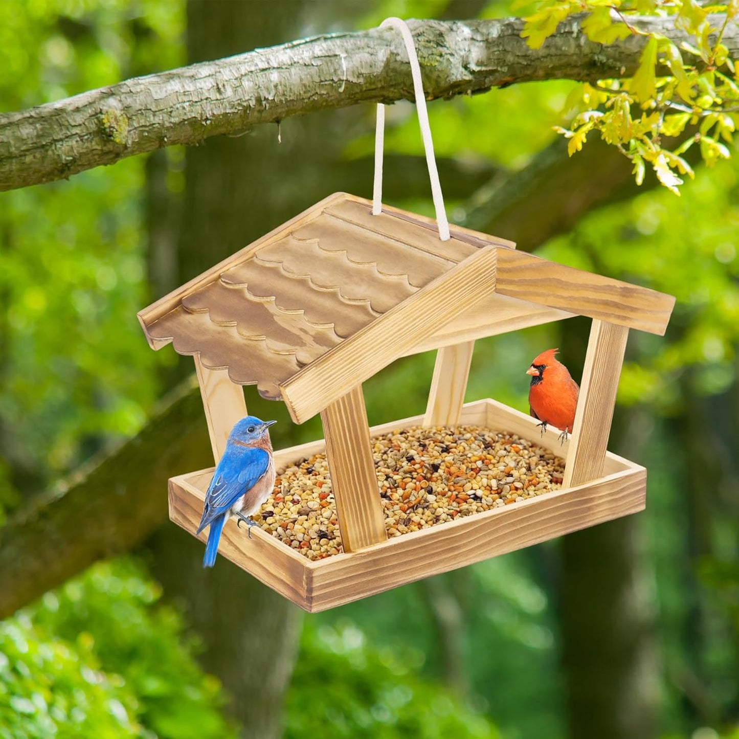 Bird Feeders for Outside Hanging, Wooden Wild Bird Feeder House, Platform Bird House Feeder for Garden Yard Outdoor Hanging 10x6.3x7.8 Inch