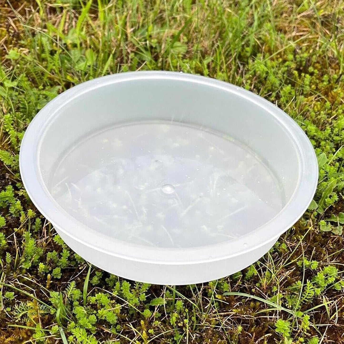 Bird Feeder Tray - Round Treat Bowl for Outdoor Feeding | Durable Repl