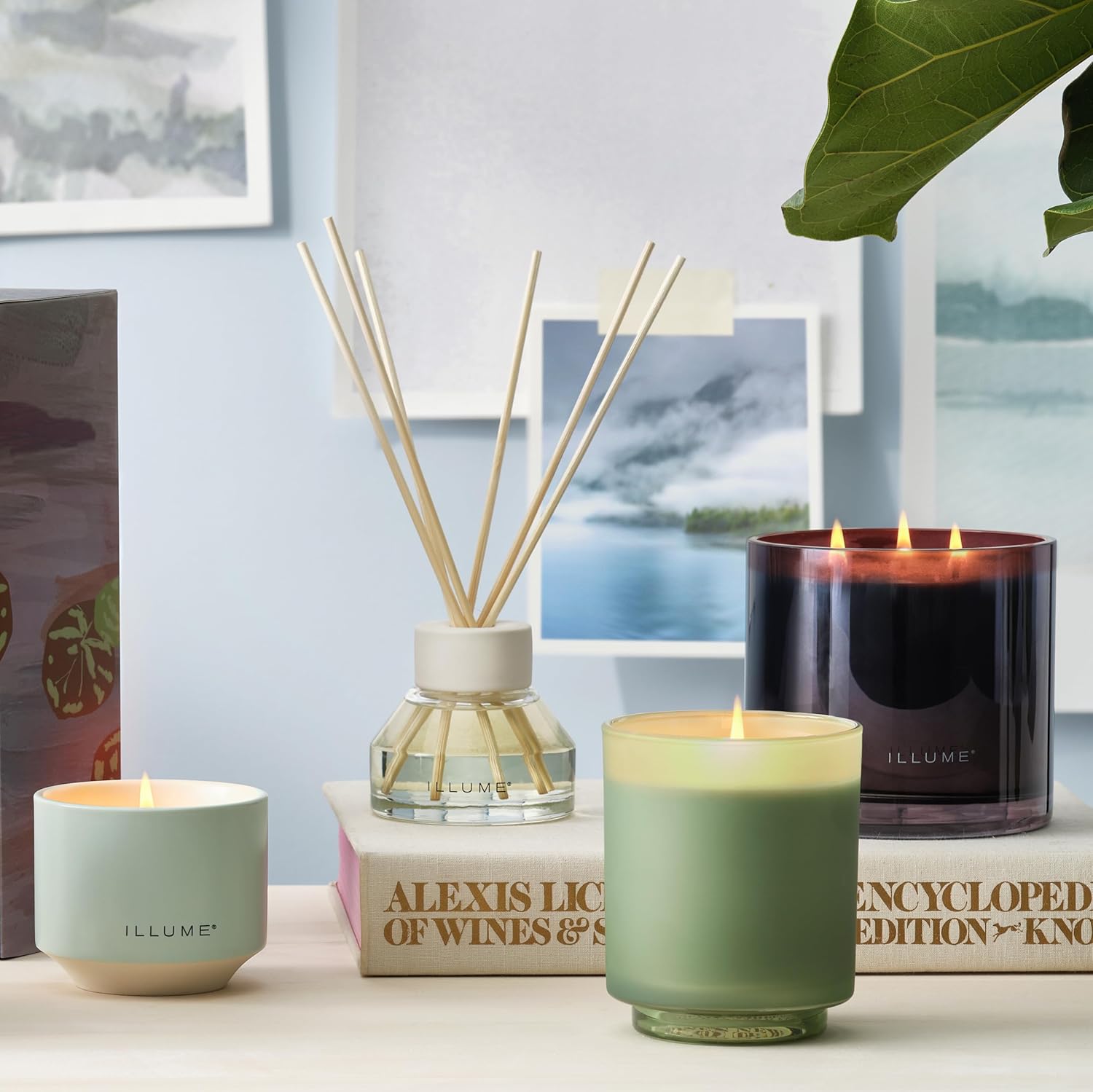 Illume Beautifully Done Essentials Hinoki Sage Boxed Glass Scented Soy