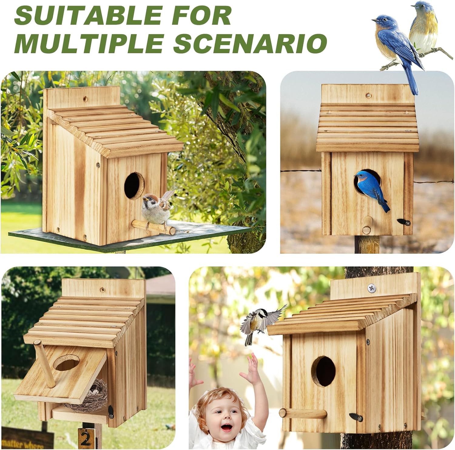 Outdoor Wooden Bird House, Birdhouse DIY Assembly Kit, Durable Bluebir