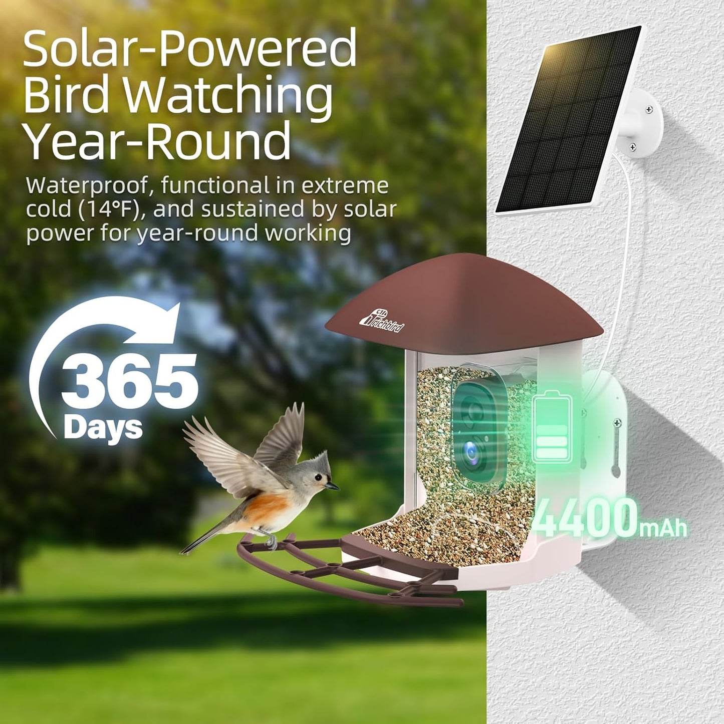 Smart Bird Feeder with Camera Solar Powered, 2.5K HD Birdwatching Camera with Free AI Bird Identification, Instant Notifications & Auto Video Capture, Brown