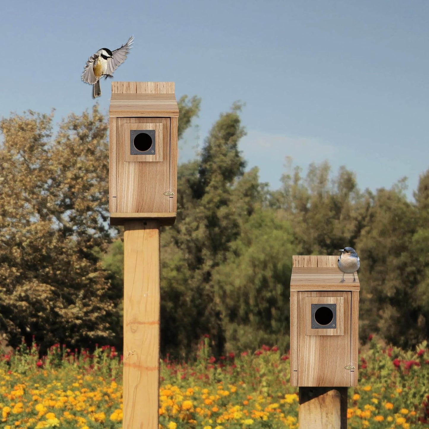 CARTMAN 0.6 Inch Thick Wood Bird Houses with Stainless Steel Guard, Hummingbird House for Outside Clearance Garden Country Cottages 2pk