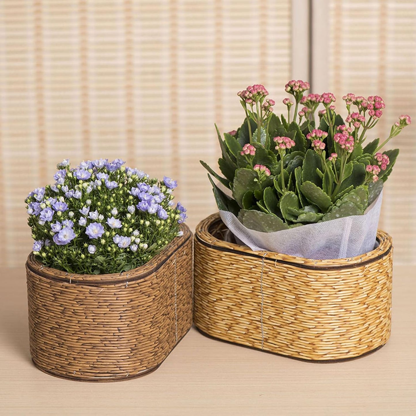 Rattan Flower Basket, Wicker Woven Planter with Plastics Liner, Hand Woven Basket Planter, Desktop Flower Pot for Bathrooms Kitchens Home Office