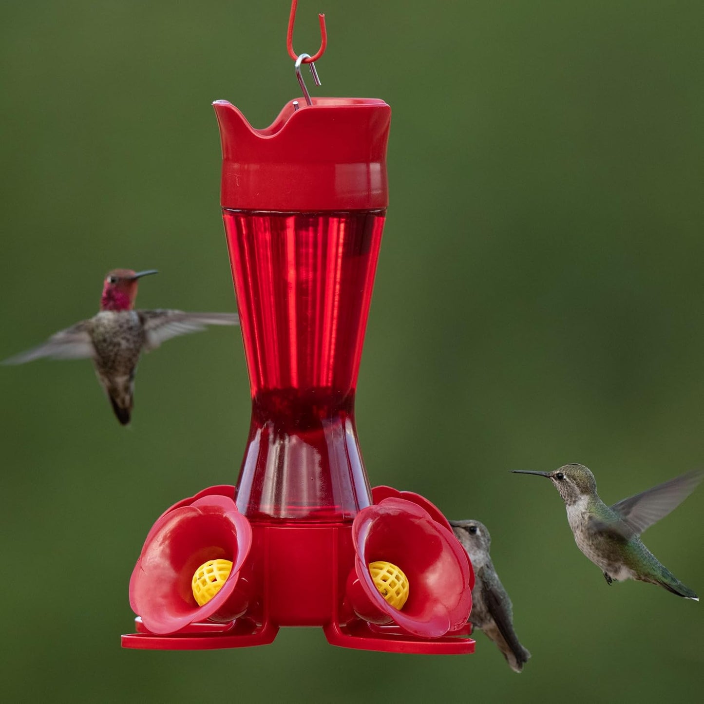 Perky-Pet Red Hummingbird Feeder - Pinch Waist Design for Easy Feeding - Humming bird Feeder for Outdoors - 403CP - 8 oz Capacity