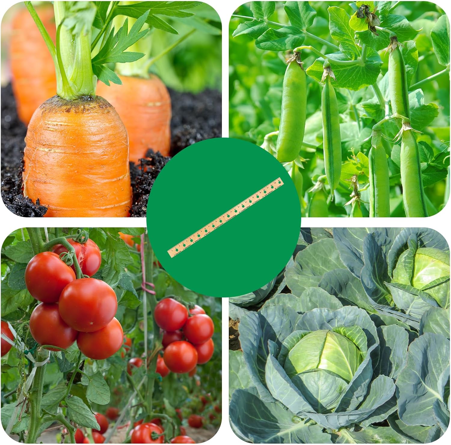 Foldable Plant Ruler Spacer Tool Seeder – Precise Planting for Vegetab