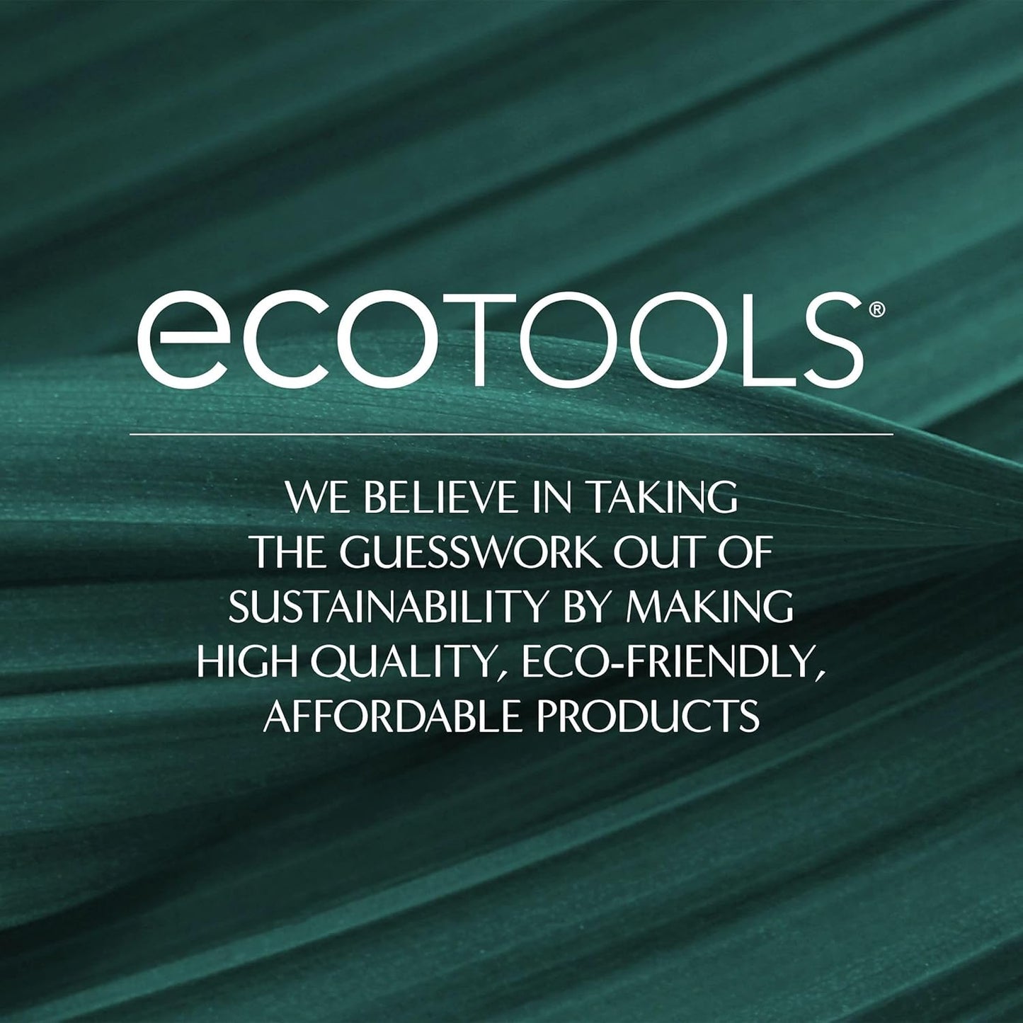 EcoTools Bath Bristle Brush, Bath Brush with Long Handle, Cleanse Back & Hard-to-Reach Areas, Eco Friendly Shower Brush for Exfoliating, Cruelty Free Nylon Bristles, Vegan, 1 Count