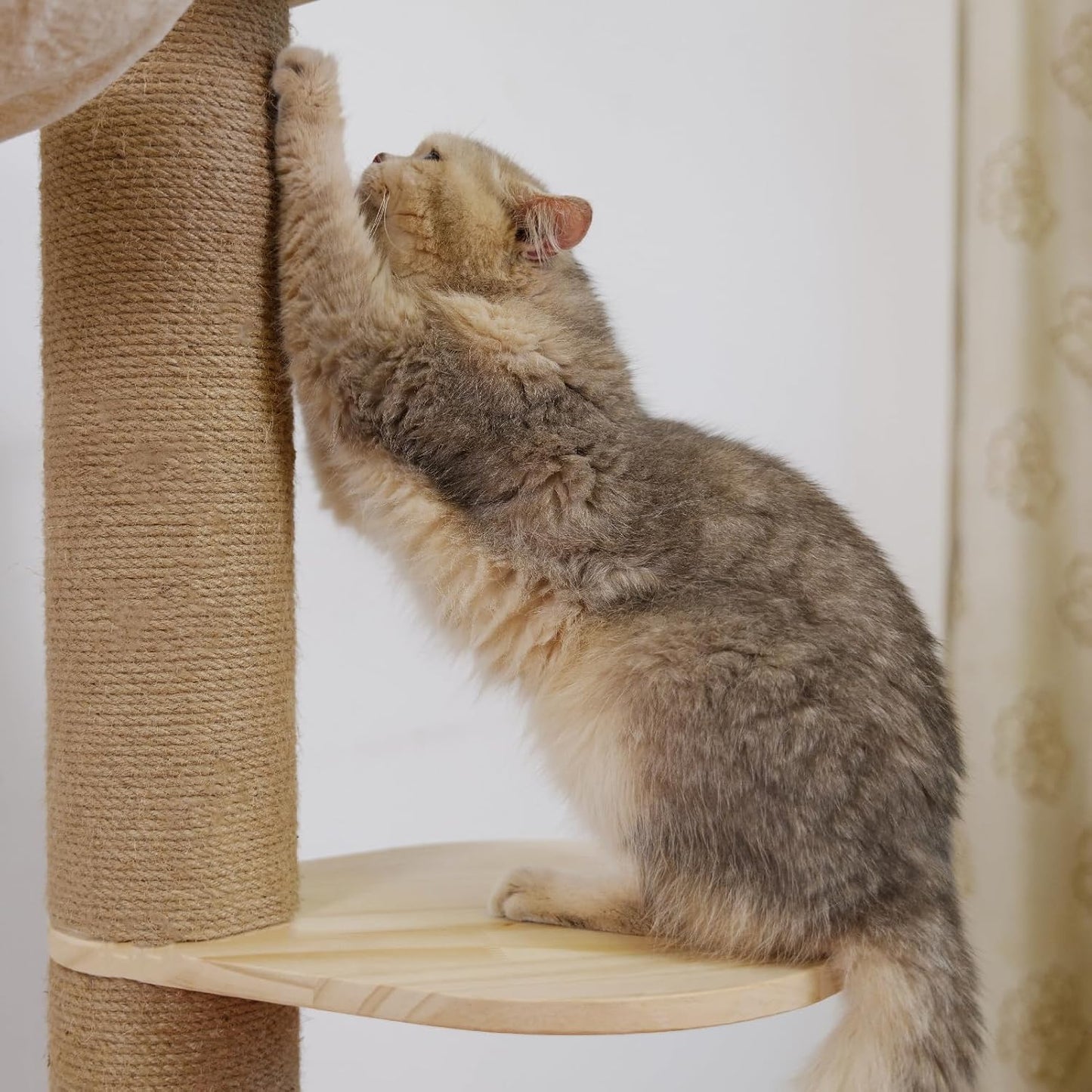 Floor to Ceiling Cat Tree Height (50-120in) Adjustable Cat Tower 5 Tie