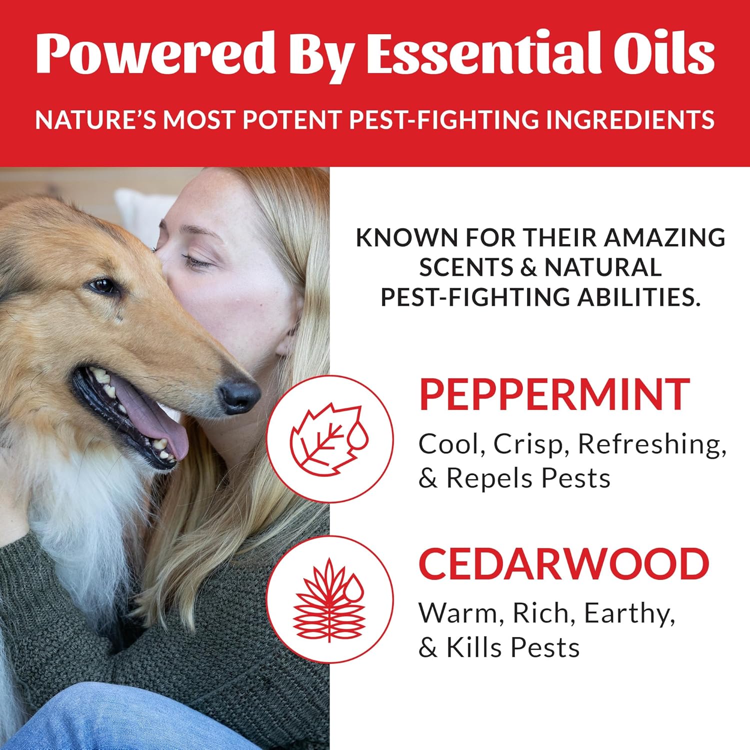 Skout's Honor Flea and Tick Shampoo for Dogs - Natural Peppermint & Ce
