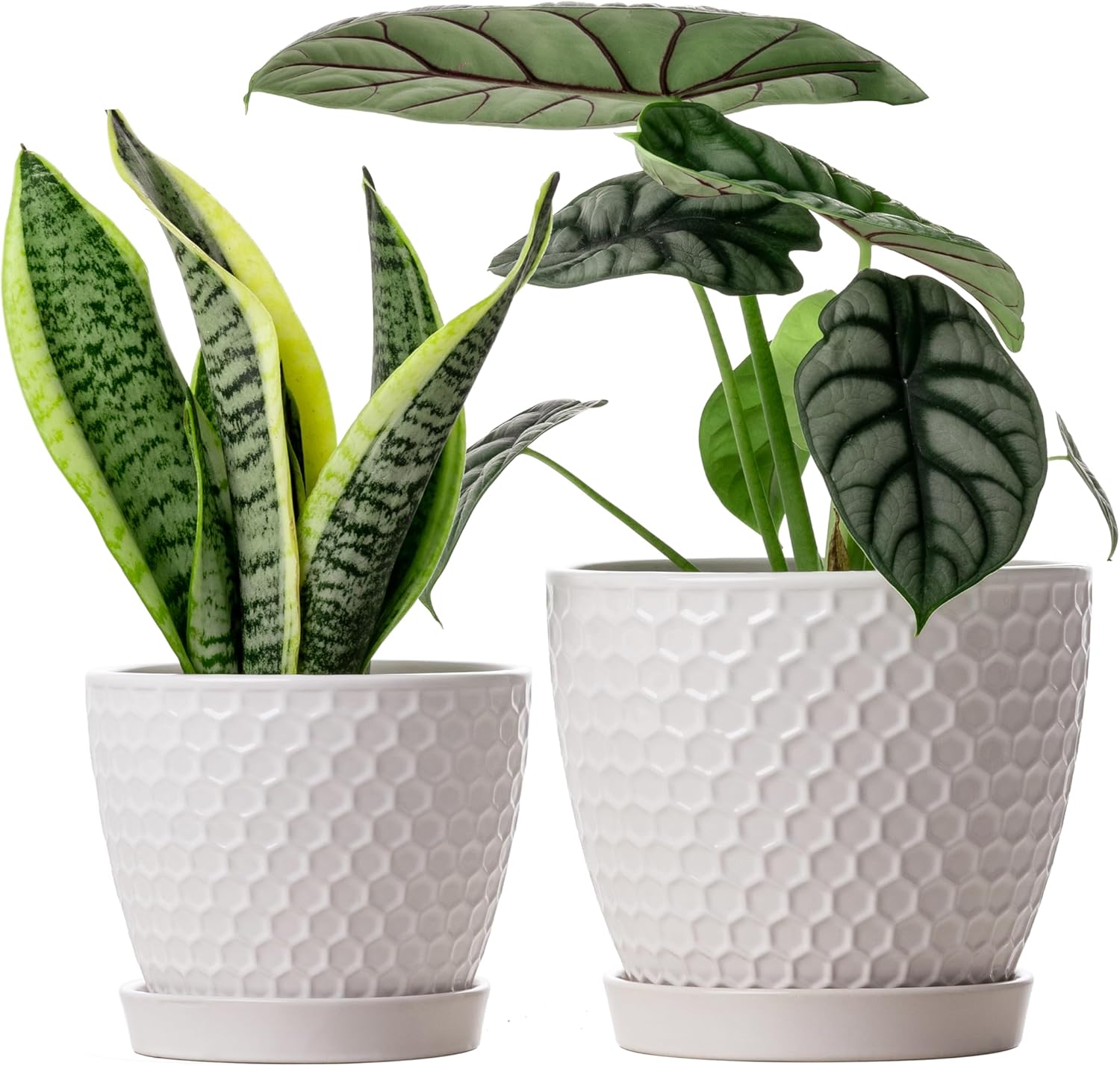 Docrin Ceramic Plant Pots Set of 2 (6.6"+5.5"), High-Fired Clay Indoor