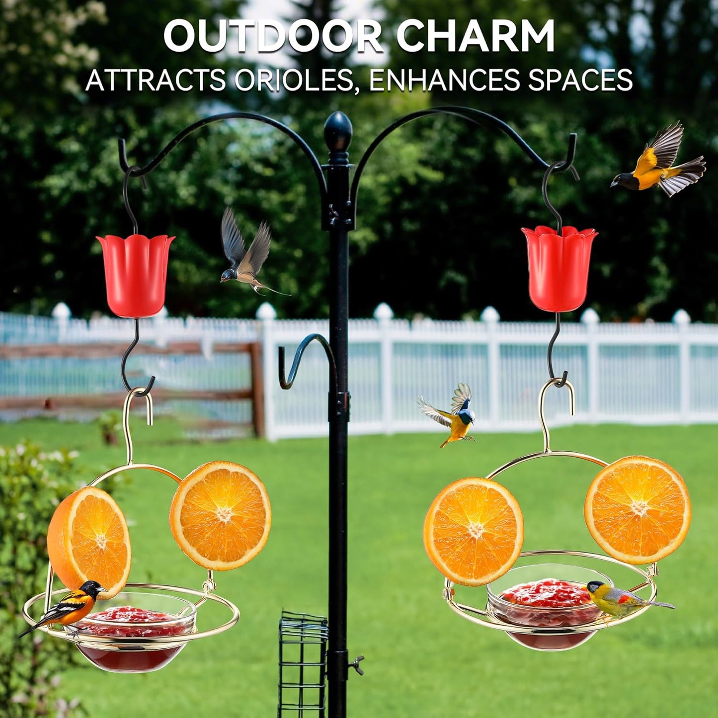 2 Pack Metal Oriole Feeders for Outdoors Hanging with Ant Moat and Fruit Holder, Oriole Feeder with Glass Bowl, Easy to Disassemble and Wash, Bird Feeder for Garden, Outdoor, Gift (Gold)