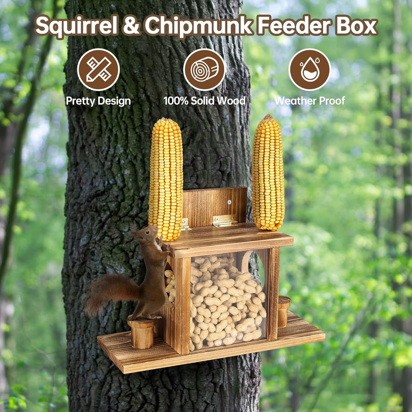 Carbonized Squirrel Feeders for Outside, Funny Chipmunk Feeder, Easy Filling & Cleaning with Removable Front Panel, Durable Outdoor House Box, Attracts Squirrel & Chipmunk