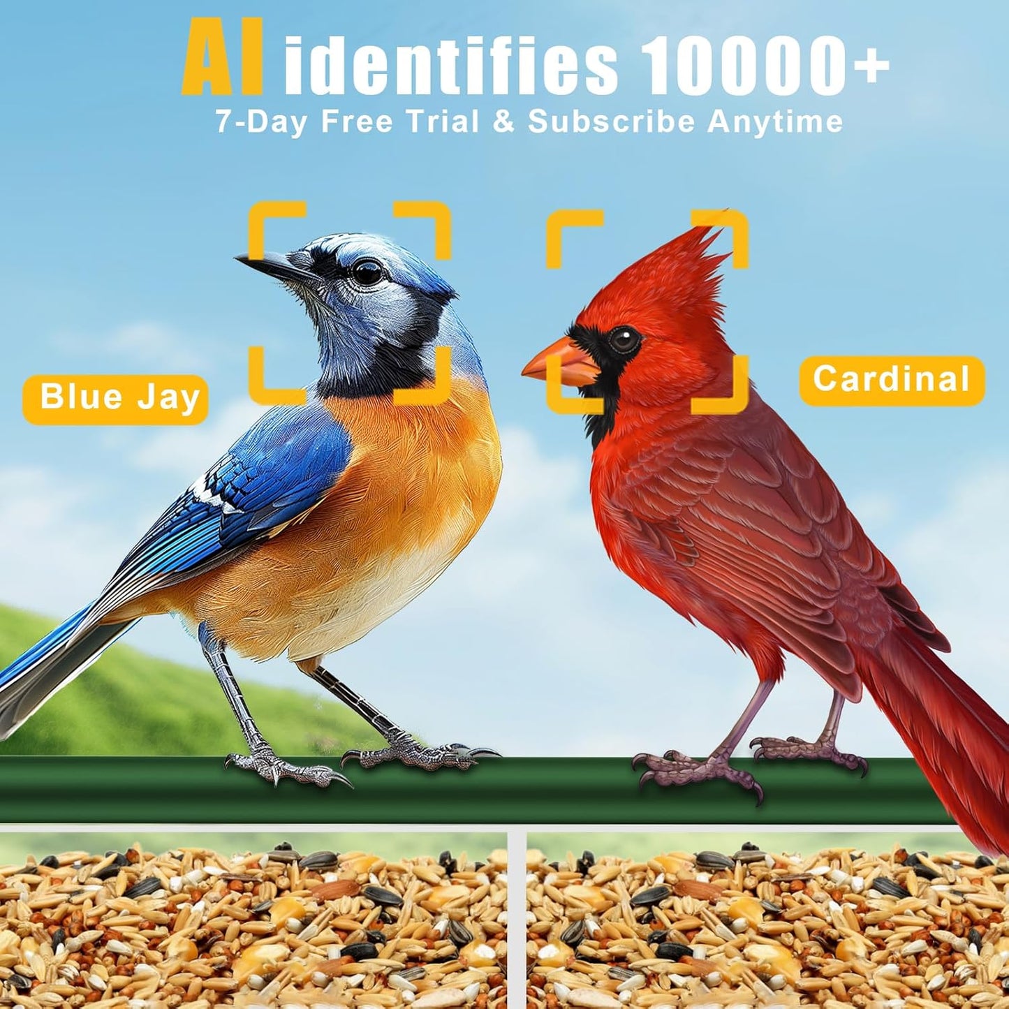 Window Bird Feeder with Camera, Smart Clear Birdfeeder for Outside, 2K HD Live View & AI Bird 10000+, Window Bird House Feeder with 6 Suction Cups