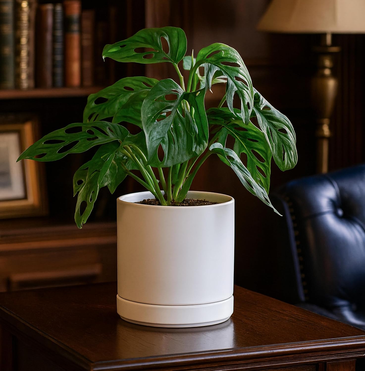 D'vine Dev Set of 2 Plants Pots, 6.5 Inch Ceramic Planter Pot for Plan