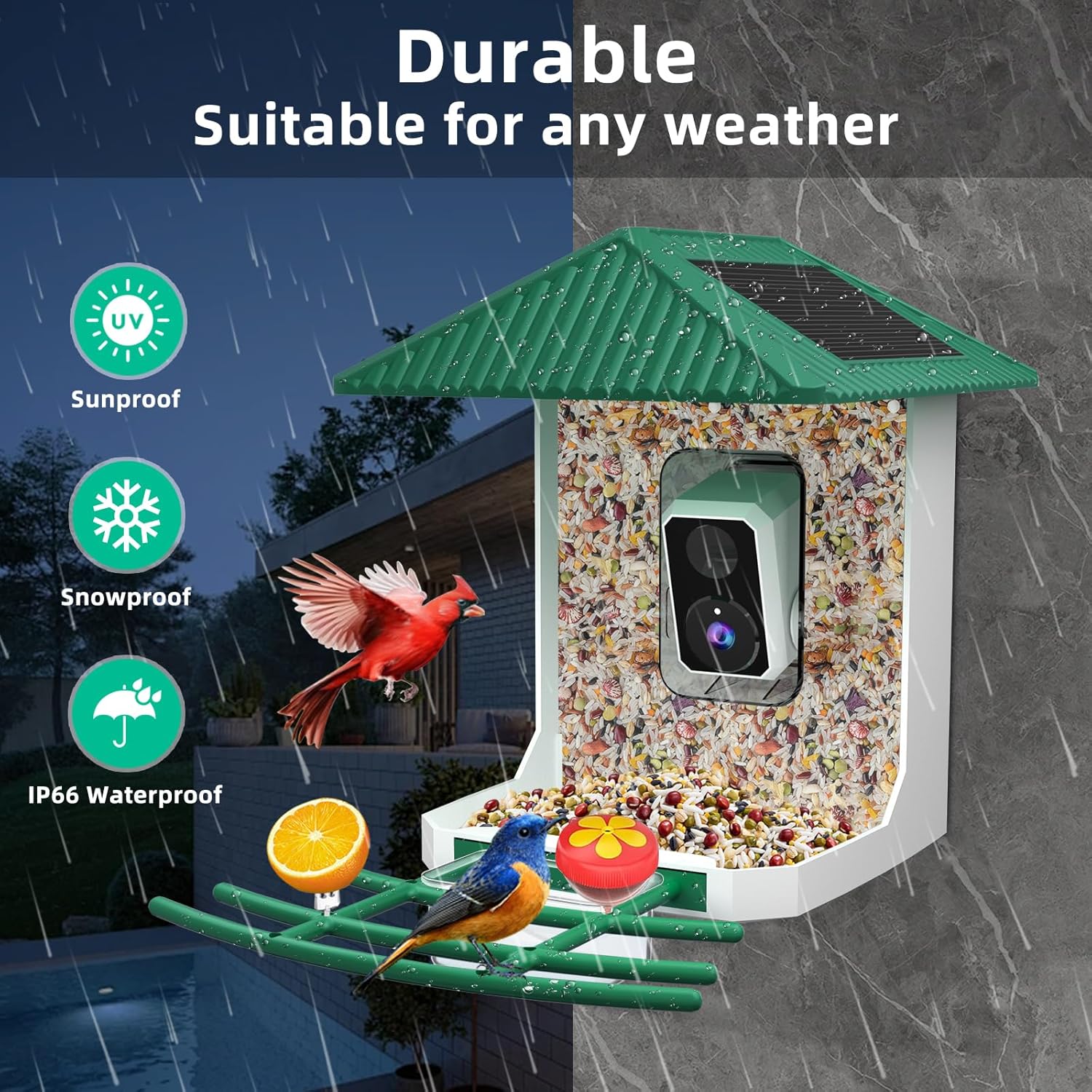 Uniter® 2.5K Smart Bird Feeder with Camera, 5G &2.4G Wifi, Solar Video