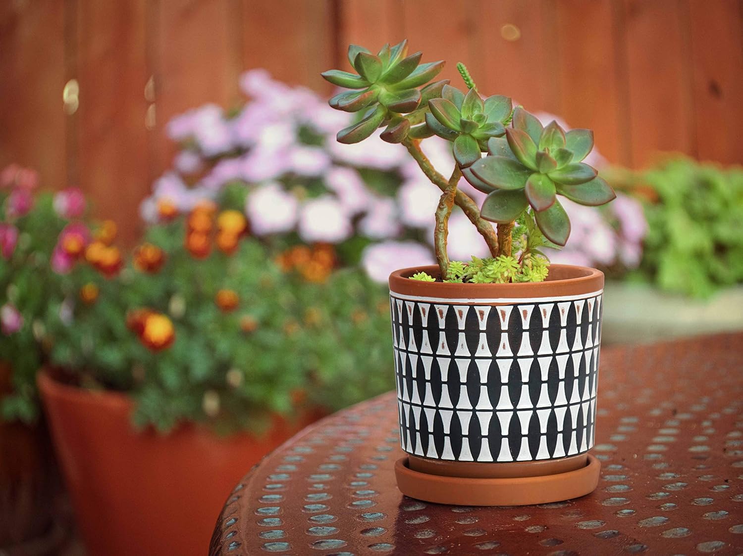D'vine Dev Set of 2 Terracotta Pots, 4 Inch and 6 Inch, Planter Pots f