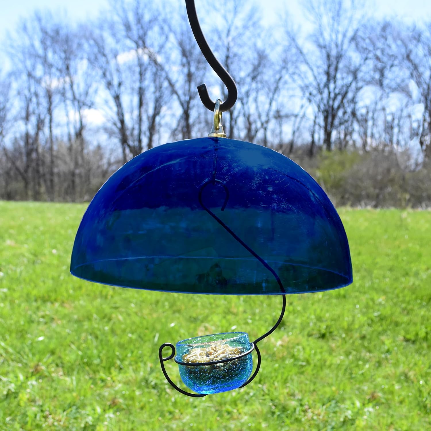 Songbird Essentials Bluebird Magnet - 12 Inch Blue Baffle Plastic Dome