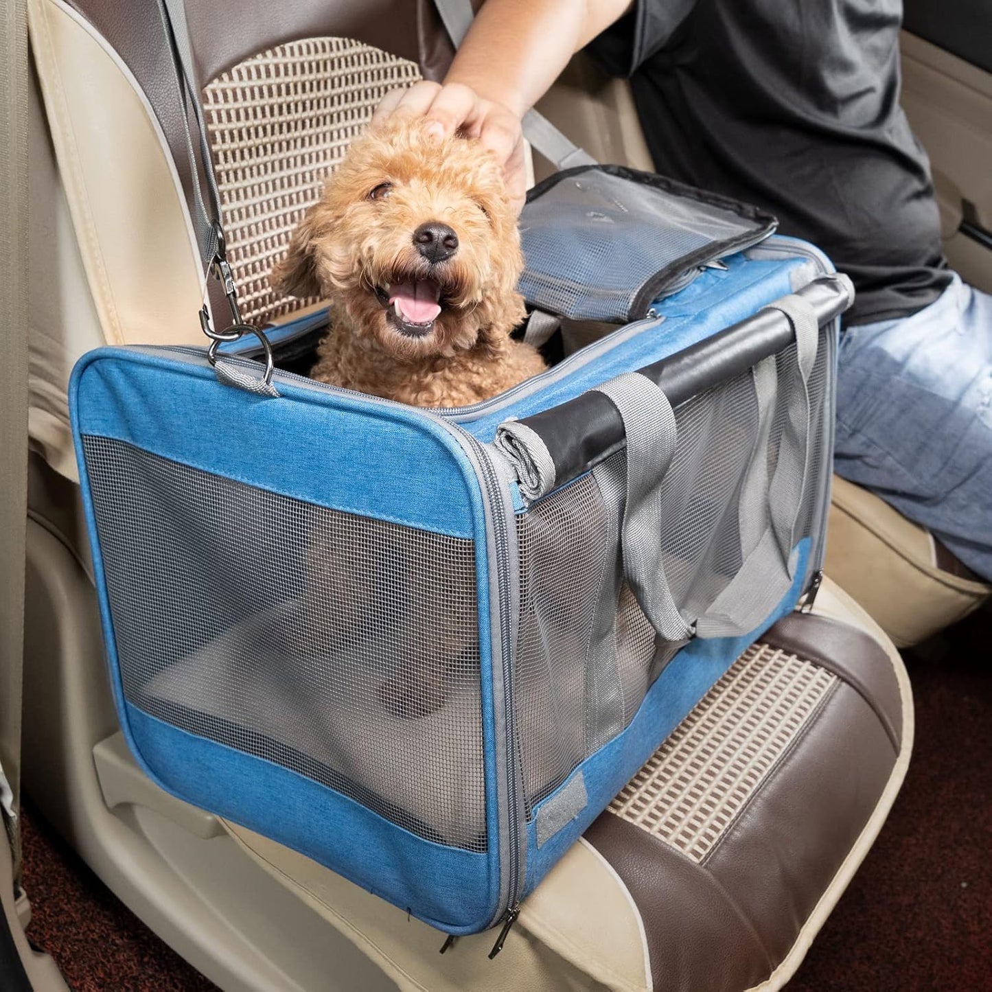 Pet Carrier for Large and Medium Cats, Soft-Sided Pet Carrier for Big 