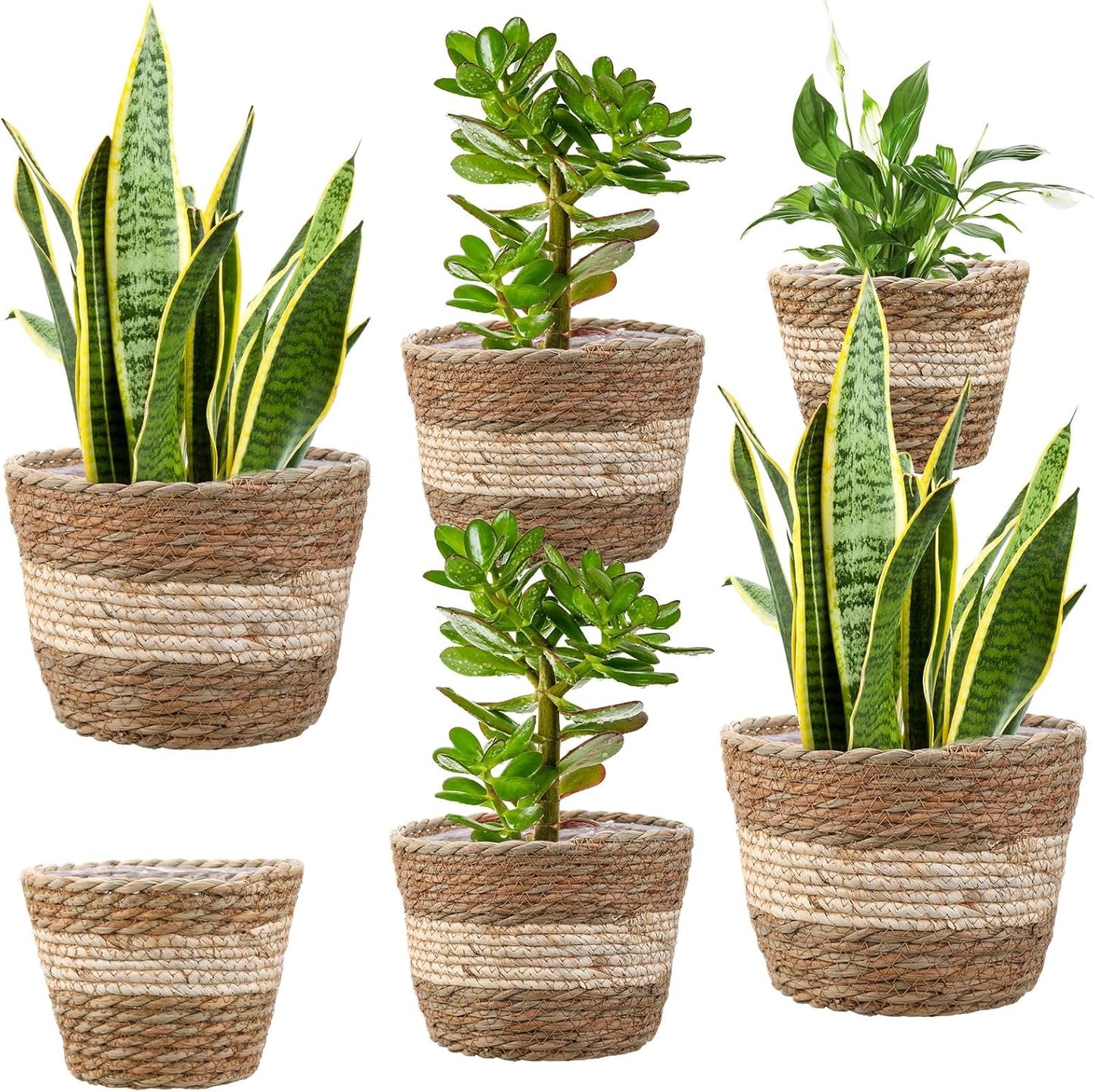 Mumufy 6 Pcs Seagrass Planter Basket Flower Pots Cover Plant Baskets Hand Woven Plant Basket Storage Containers with Plastic Liners for Indoor Outdoor Flower Pots Decoration 10, 7, 8.3 Inch(Novel)