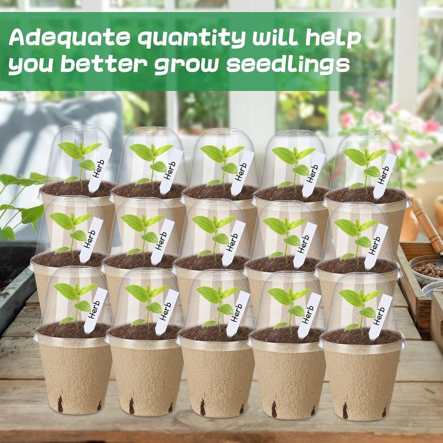 Aulock 36 Sets Plant Nursery Pots with Humidity Dome - 3in Seed Starti