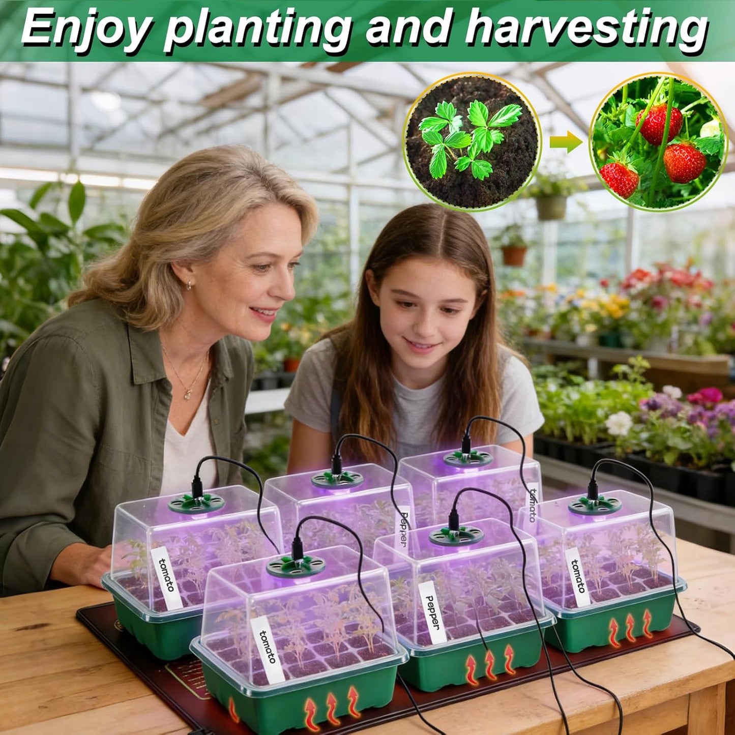 Apipi Seed Starter Tray with Grow Light & Heat Mat- 6 Pack 72 Cell Dur