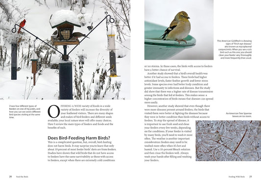 Feed the Birds: Attract and Identify 196 Common North American Birds