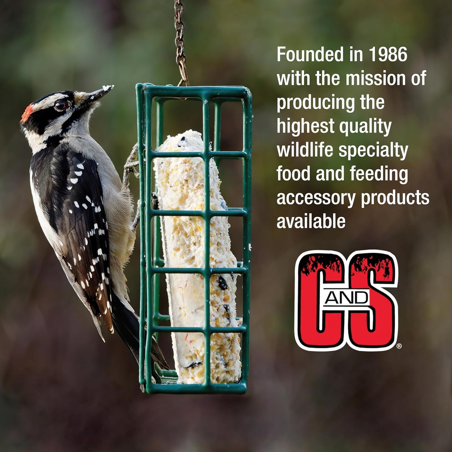 C&S Wild Bird Food Suet Dough Balls Feeder